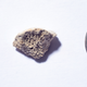 The canine bone fragment, found in Southeast Alaska.
